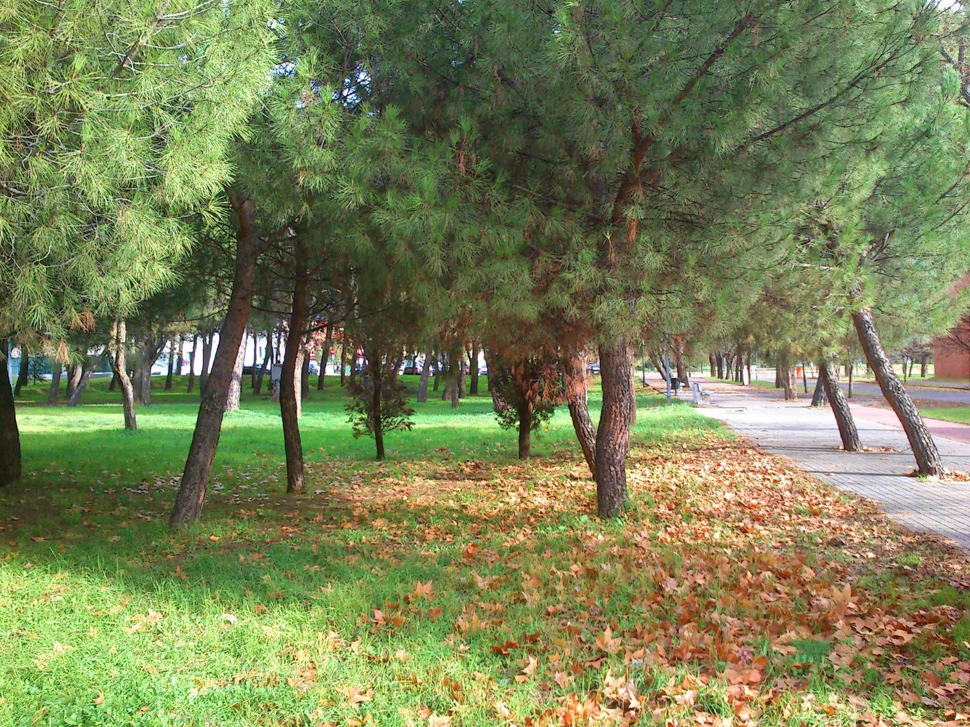 Residencia Universitaria Resa Giner De Los Rios Alcalá de Henares Exteriér fotografie